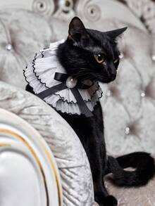 PETSIN Guler din dantelă alb-negru, stil prințesă, cu perle, fundă și design cu animale, pentru ocazii formale, potrivit pentru pisici/câini, accesoriu popular pentru colier cu bavetă pentru animale de companie, potrivit pentru primăvară/vară - Multicolor - Vizualizare 7