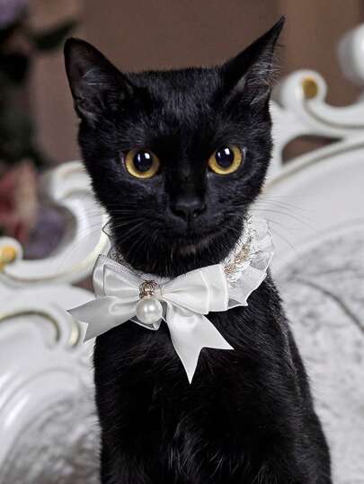 PETSIN White Princess-Style Lace Elastic Bowknot Vintage Faux Pearl Pet Necklace/Collar, Suitable For Parties, Birthdays And Other Important Occasions, Fashionable In Europe And America For Cats And Dogs