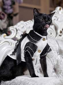 PETSIN Schwarz-Weiß Prinzessin Stil Haustierbekleidung, Spitzen-Schleifendesign, geeignet für Partys, Geburtstage und andere wichtige Anlässe, beliebt in Europa und Amerika, passend für Teddy, Pudel, Katze, modischer Haustier Cardigan für Herbst/Winter