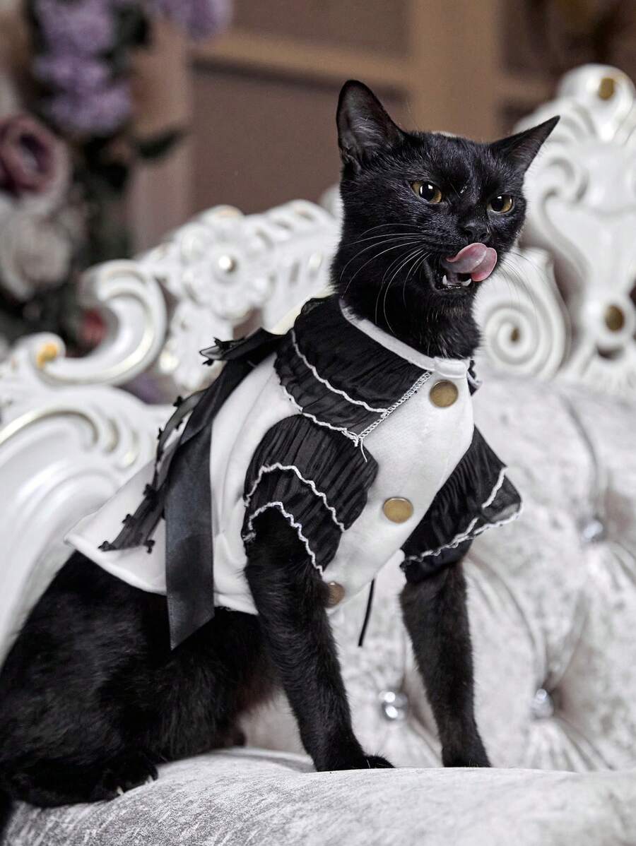 PETSIN Schwarz-Weiß Prinzessin Stil Haustierbekleidung, Spitzen-Schleifendesign, geeignet für Partys, Geburtstage und andere wichtige Anlässe, beliebt in Europa und Amerika, passend für Teddy, Pudel, Katze, modischer Haustier Cardigan für Herbst/Winter