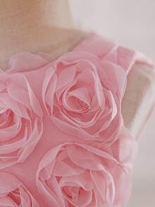 Glamorique Kids Baby Girls' Elegant Cute Floral 3D Bow Mesh Tutu Dress, Sleeveless Princess Party Dress Fall Winter