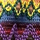 Multicolor