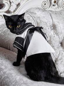 PETSIN Schwarz-Weiß Prinzessin Stil Haustierbekleidung, Spitzen-Schleifendesign, geeignet für Partys, Geburtstage und andere wichtige Anlässe, beliebt in Europa und Amerika, passend für Teddy, Pudel, Katze, modischer Haustier Cardigan für Herbst/Winter