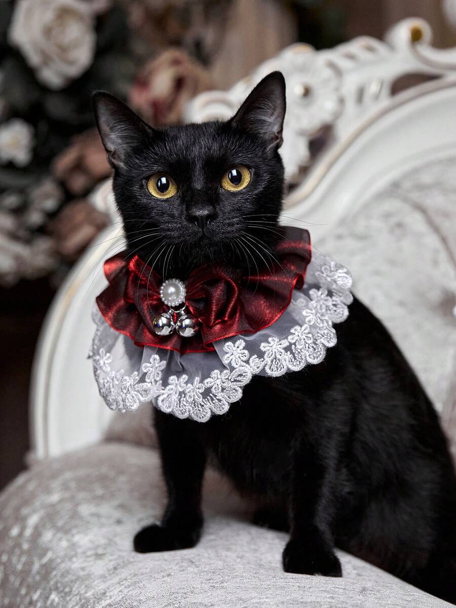 PETSIN قلادة عنق من الدانتيل واللؤلؤ على شكل جرس، بتصميم أميري وأنثوي، بلون البرغندي، مناسبة للحفلات وأعياد الميلاد والمناسبات الهامة، بتصميم فراشات مخملية، قلادة للقطط والكلاب، وشاح على شكل طبيبة عاني ذات انتشار كبير - متعدد الألوان - مشاهدة 1