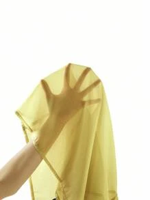 SHEIN Ellevyn 女士优雅百搭花卉荷叶边袖立领透明衬衫，适合外出、下午茶和多种场合 - 綠色 - 查看 6