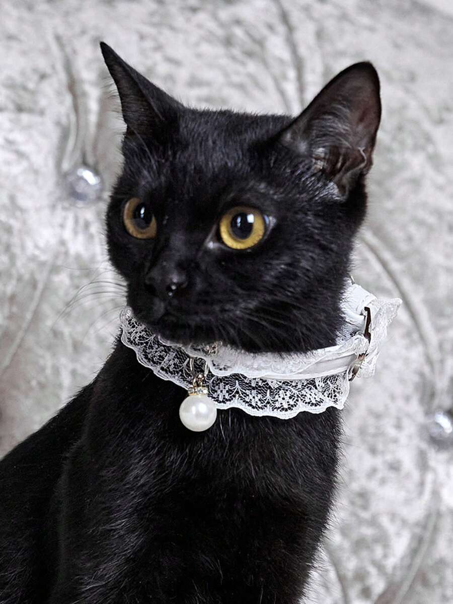 PETSIN White Princess Style Lace Pearl Decor Choker, Cute Design Suitable For Party, Birthday And Other Important Occasions, Popular Pet Cat/Dog Adjustable Necklace Collar - Multicolor - View 1