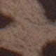 متعدد الألوان