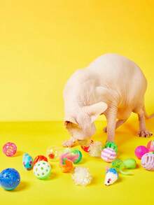 PETSIN 1/3/5/10/15/20pcs Cat Toys Set - Bells, Balls, Sisal Scratching Posts, Interactive Teaser Wands, Mice Toys, Pet Supplies, Birthday/Holiday Gift