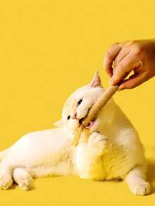 PETSIN 10/1 件装猫咬胶棒 - 猫玩具、自娱自乐抗无聊咬胶、猫球、逗猫棒、猫用品、猫咪必需品