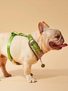 Zazumi 情人节和新年礼物 奢华设计高品质五金金色金属扣时尚印花宠物背带和 1 个配色 ID 标签 适合中小型和大型小狗节日礼物