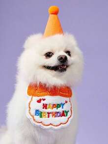 PETSIN 2pcs/Set Pet Cat Dog Birthday Costume, Made Of Polyester, Cartoon Cute Accessories For Birthday, Party, Holiday Celebration