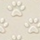 彩色