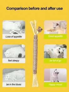 PETSIN 10/1 件装猫咬胶棒 - 猫玩具、自娱自乐抗无聊咬胶、猫球、逗猫棒、猫用品、猫咪必需品