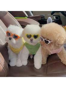 Zazumi 宠物心形眼镜 - 狗狗猫咪趣味拍照道具，可爱配饰，宠物太阳镜 - 彩色 - 查看 7