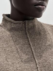 Lumivelle 女士棕色无袖时尚毛衣裙 - 棕色 - 查看 5