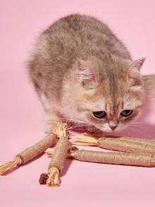 PETSIN 10/1 件装猫咬胶棒 - 猫玩具、自娱自乐抗无聊咬胶、猫球、逗猫棒、猫用品、猫咪必需品