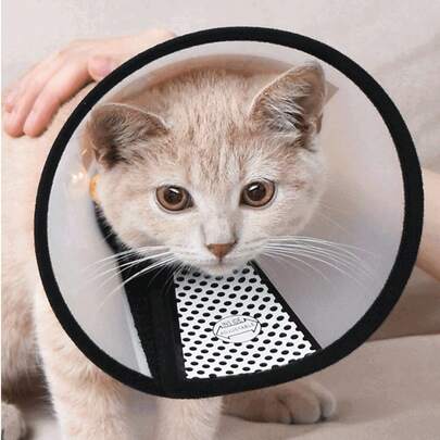 Zazumi PETSIN 1件装宠物康复项圈，术后锥，宠物头套。适用于6公斤以下宠物