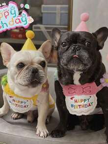 PETSIN 2pcs/Set Pet Cat Dog Birthday Costume, Made Of Polyester, Cartoon Cute Accessories For Birthday, Party, Holiday Celebration