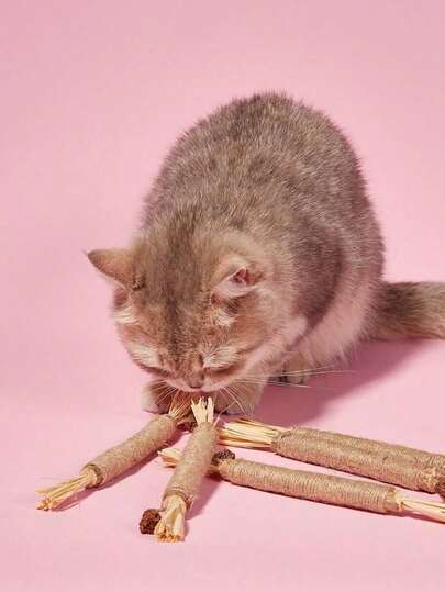  PETSIN 10/1 件装猫咬胶棒 - 猫玩具、自娱自乐抗无聊咬胶、猫球、逗猫棒、猫用品、猫咪必需品