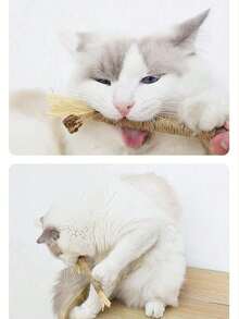 PETSIN 10/1 件装猫咬胶棒 - 猫玩具、自娱自乐抗无聊咬胶、猫球、逗猫棒、猫用品、猫咪必需品