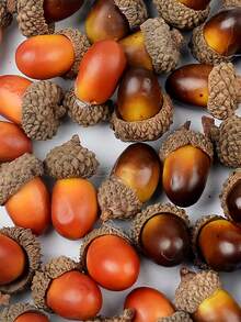 SHEIN 20pcs Artificial Acorn,Fake Plants,Fall Decor,Room,Desk,Garden Decor,Room Decoration Stuff,Christmas - Small Acorn - View 2