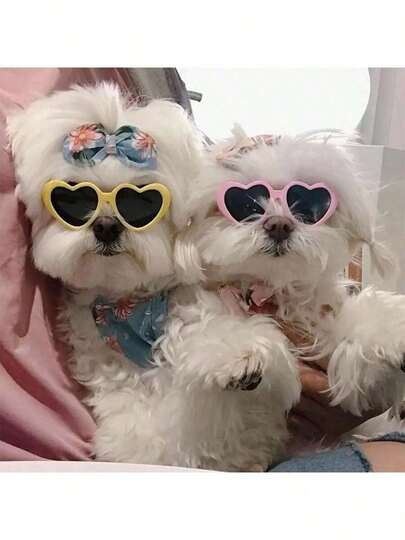 Zazumi 宠物心形眼镜 - 狗狗猫咪趣味拍照道具，可爱配饰，宠物太阳镜