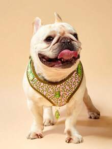 Zazumi 情人节和新年礼物 奢华设计高品质五金金色金属扣时尚印花宠物背带和 1 个配色 ID 标签 适合中小型和大型小狗节日礼物