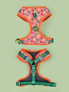 Zazumi 情人节和新年礼物 奢华设计高品质五金金色金属扣时尚印花宠物背带和 1 个配色 ID 标签 适合中小型和大型小狗节日礼物