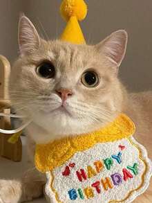 PETSIN 2pcs/Set Pet Cat Dog Birthday Costume, Made Of Polyester, Cartoon Cute Accessories For Birthday, Party, Holiday Celebration