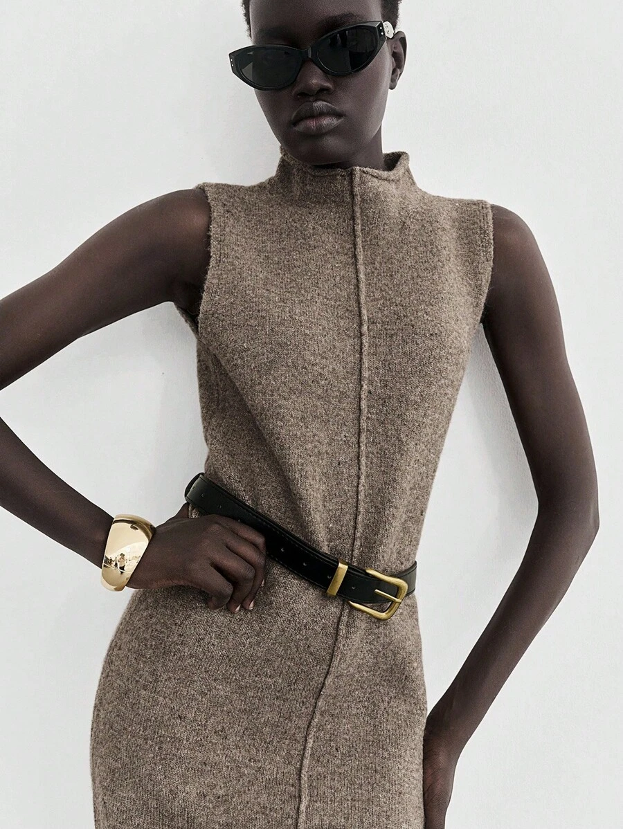 Lumivelle 女士棕色无袖时尚毛衣裙 - 棕色 - 查看 1