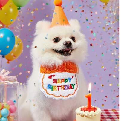  PETSIN 2件套宠物猫狗生日服装，涤纶材质，卡通可爱配饰，适用于生日、派对、节日庆典