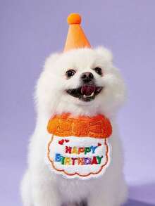 PETSIN 2pcs/Set Pet Cat Dog Birthday Costume, Made Of Polyester, Cartoon Cute Accessories For Birthday, Party, Holiday Celebration