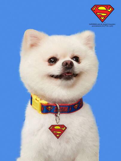 SUPERMAN X PETSIN 1 pieza Collar de perro de cinta impresa resistente con cierre de hebilla
