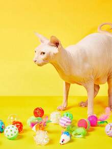 PETSIN 1/3/5/10/15/20pcs Cat Toys Set - Bells, Balls, Sisal Scratching Posts, Interactive Teaser Wands, Mice Toys, Pet Supplies, Birthday/Holiday Gift