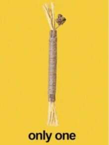 PETSIN 10/1 件装猫咬胶棒 - 猫玩具、自娱自乐抗无聊咬胶、猫球、逗猫棒、猫用品、猫咪必需品