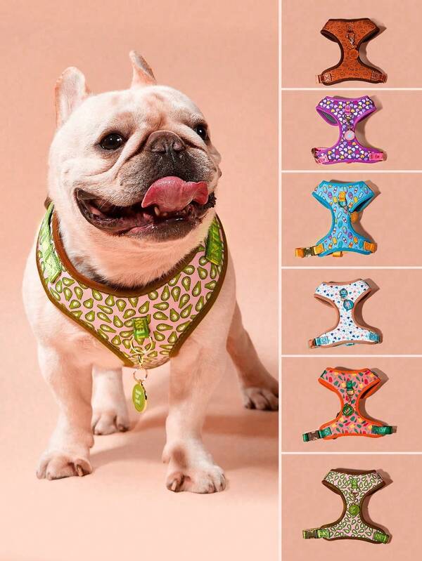 Zazumi 情人节和新年礼物 奢华设计高品质五金金色金属扣时尚印花宠物背带和 1 个配色 ID 标签 适合中小型和大型小狗节日礼物