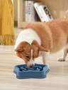 Pet Feeding & Watering Supplies