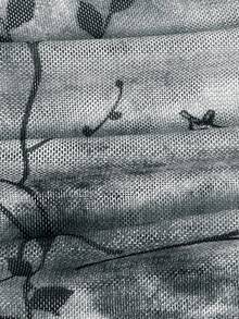 EgrlEra Áo thun nữ ôm sát gợi cảm cổ điển, tay bồng, cổ vuông, họa tiết lưới và ruy băng - Màu Xám nhạt - Xem 4