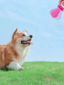 PETSIN 1PC Dog Toy, TPR Pacifier, Puppy Toy, Vocal Interactive Puppy Training Pet Toy - Multicolor - View 8