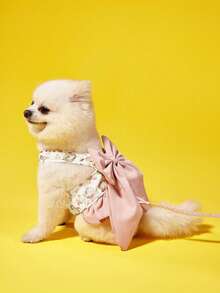 Zazumi Japanese Style 3-In-1 Leash & Harness Bowknot Design For Dogs, Suitable For Poodle & Teddy Breeds