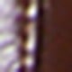 Chocolate Brown