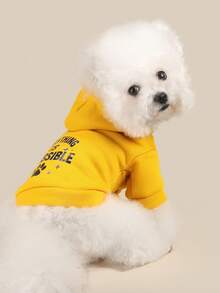 PETSIN 1 Piece Of Cat/Dog Clothing, Comfortable Autumn And Winter Soft And Warm Hooded Sweatshirt, Suitable For Casual Clothing For Small Dogs - Yellow - View 4