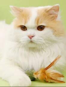 PETSIN 1 Juguete de hierba gatera para gatos, Golosinas para gatos, Hierba dental para gatos, Diversión para gatos, Juguetes resistentes a mordeduras para gatitos, Bolas giratorias de hierba gatera, Juguetes - Multicolor - Ver 3