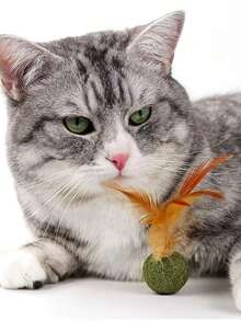 PETSIN 1 Juguete de hierba gatera para gatos, Golosinas para gatos, Hierba dental para gatos, Diversión para gatos, Juguetes resistentes a mordeduras para gatitos, Bolas giratorias de hierba gatera, Juguetes - Multicolor - Ver 14