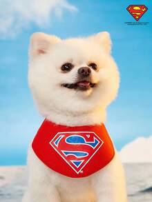 SUPERMAN X PETSIN Logo Printed Blue & Red Adjustable Snap Bib For Dogs, Suitable For Cats And Dogs