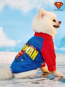 SUPERMAN X PETSIN 1pc Colorblock Raglan Sleeve Graphic Sweatshirt, Fashionable Design Suitable For Pets