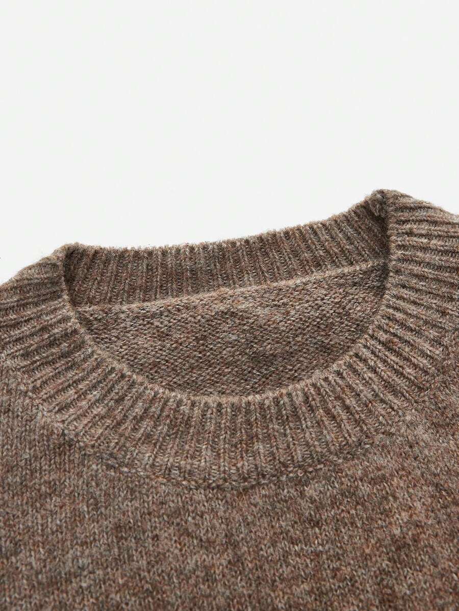 SHEIN PariChic Casual Style Solid Color Crew Neck Long Sleeve Knitted Sweater Fall Winter - Brown - View 1