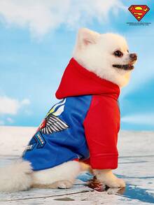 SUPERMAN X PETSIN 1pc Colorblock Printed Raglan Sleeve Hoodie, Fashionable & Suitable For Cats & Dogs - Blue - View 7