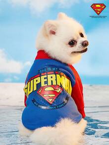 SUPERMAN X PETSIN 1pc Colorblock Raglan Sleeve Graphic Sweatshirt, Fashionable Design Suitable For Pets