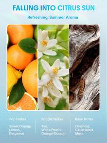 SHEGLAM HAIR Ice Revive Scalp Serum,Cooling Alpine Water Roll,Hair Massage Serum Roll,Soothe Hydrate Scalp,Strenghten Hair Roots,Enhance Scalp Skin Barrier,Reduces Hair,No-Rinse,Fast-Absorbing Daily Nourishing,Gentle Care For Women & Men Graduation Birthday Holiday Summer Fall Autumn Y2K Fancy Fashion Women Makeup Cosmetic Party Beach Travel Camping Outdoors School Campus Festivals Decor Gift Present Rose Girl Best Color Charm Vibe Pink Christmas New Year Thanksgiving Day Valentine's Day